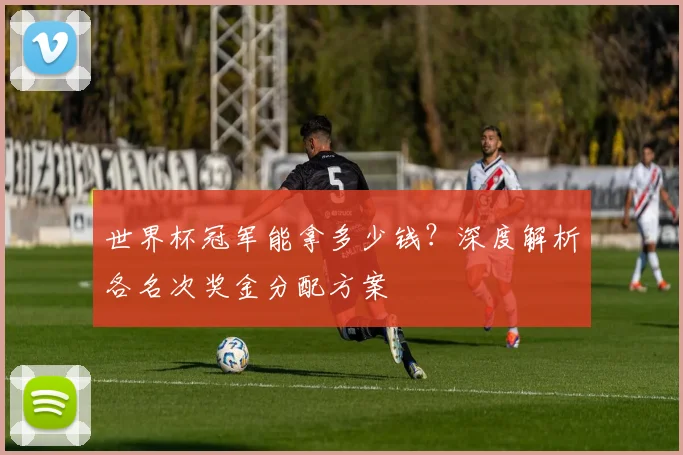 世界杯冠军能拿多少钱？深度解析各名次奖金分配方案